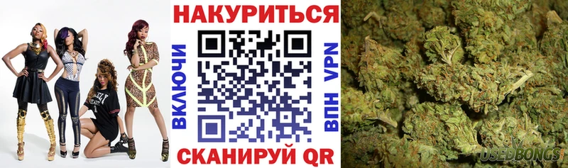 Каннабис сатива  цена   Славск 